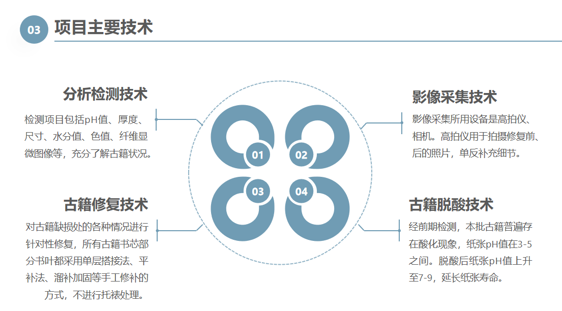 动态2.png